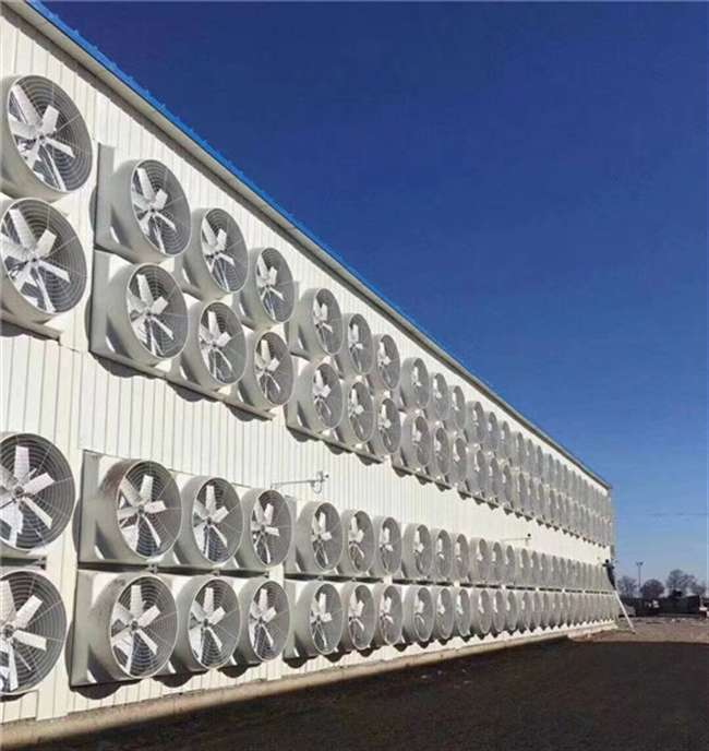 玻璃钢风机厂房降温设备